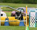20150516-neat-0467
