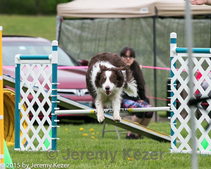 20150516-neat-0471.jpg