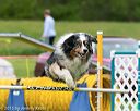 20150516-neat-0428