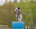 20150516-neat-0267