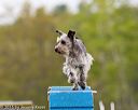 20150516-neat-0268
