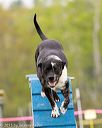 20150516-neat-0279
