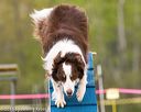 20150516-neat-0290
