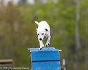 20150516-neat-0332