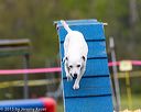 20150516-neat-0334