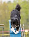 20150516-neat-0367