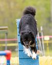 20150516-neat-0369
