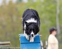 20150516-neat-0389