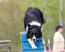 20150516-neat-0390