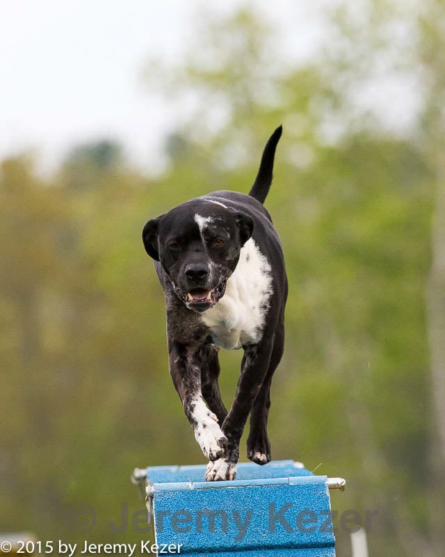 20150516-neat-0276.jpg