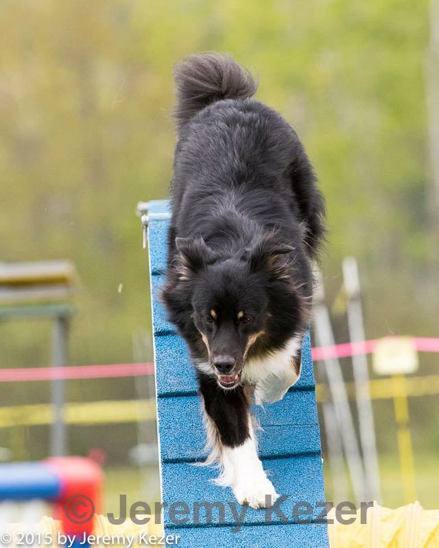 20150516-neat-0368.jpg