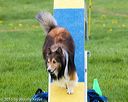 20150516-neat-0839
