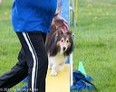 20150516-neat-0842