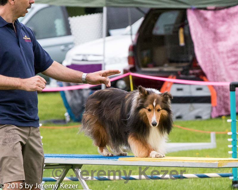 20150516-neat-0835.jpg