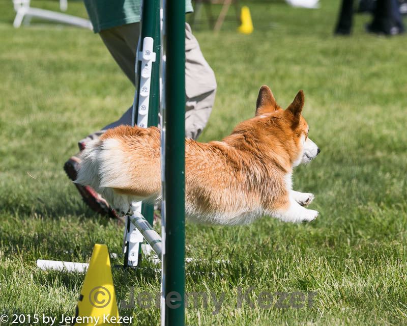20150517-neat-1114.jpg