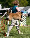 20150517-neat-1095