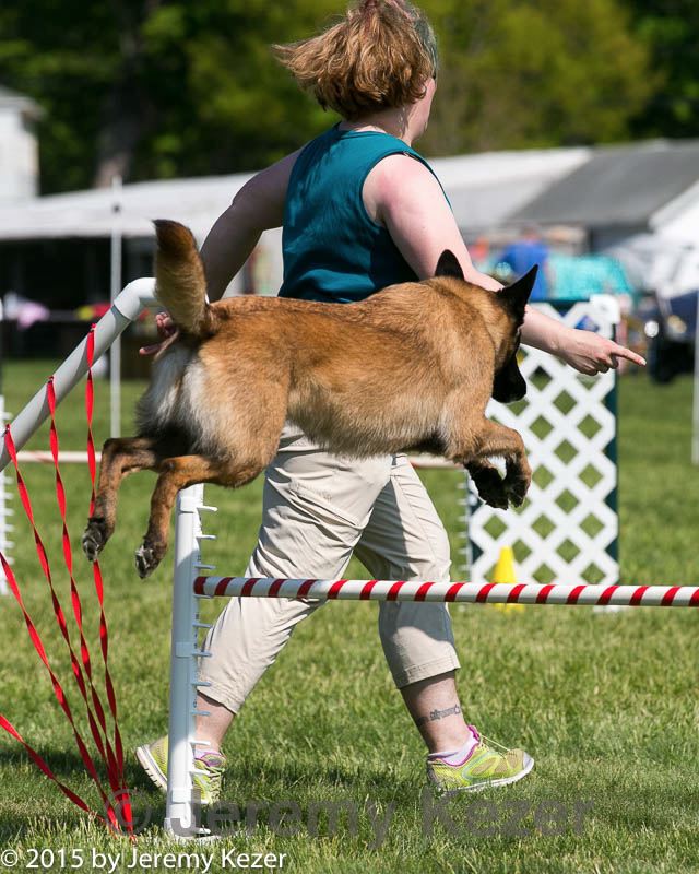 20150517-neat-1095.jpg
