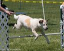 20150517-neat-0397