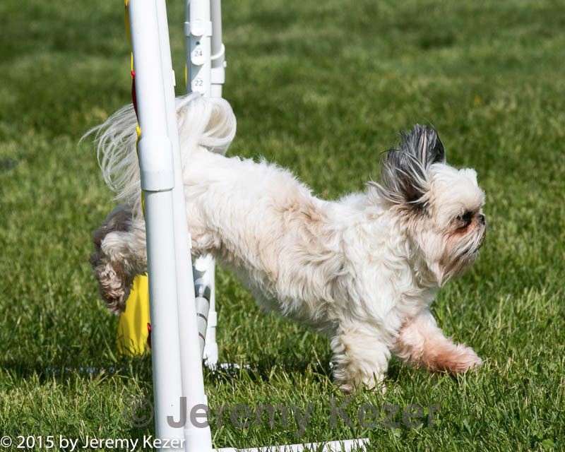 20150517-neat-0111.jpg