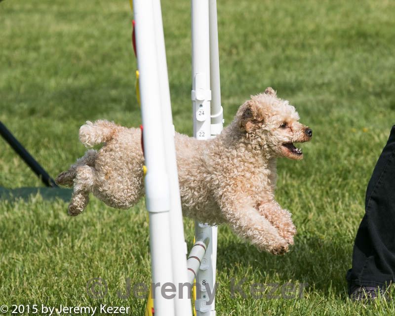 20150517-neat-0094.jpg