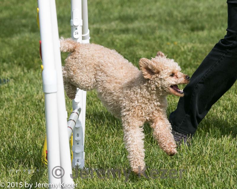 20150517-neat-0095.jpg
