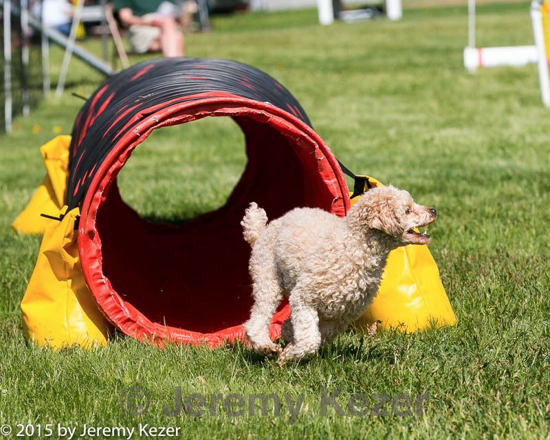 20150517-neat-1041.jpg