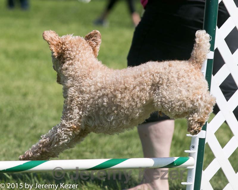 20150517-neat-1043.jpg