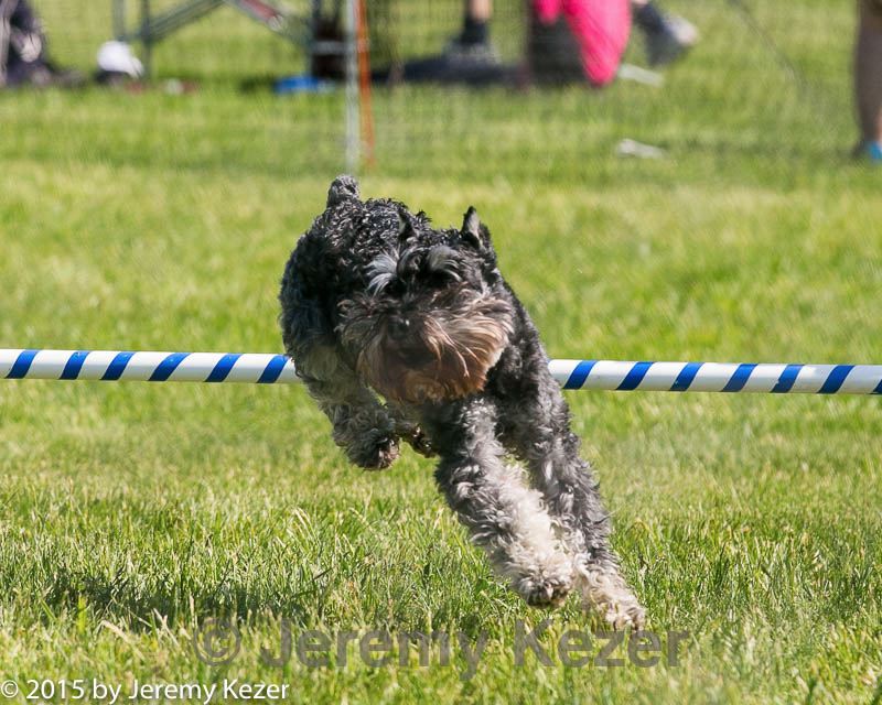 20150517-neat-1052.jpg
