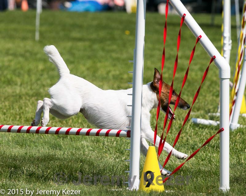 20150517-neat-1060.jpg