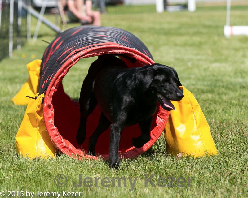 20150517-neat-1027.jpg