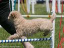 20150517-neat-0378