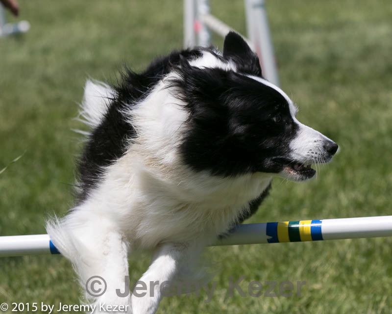 20150517-neat-0259.jpg