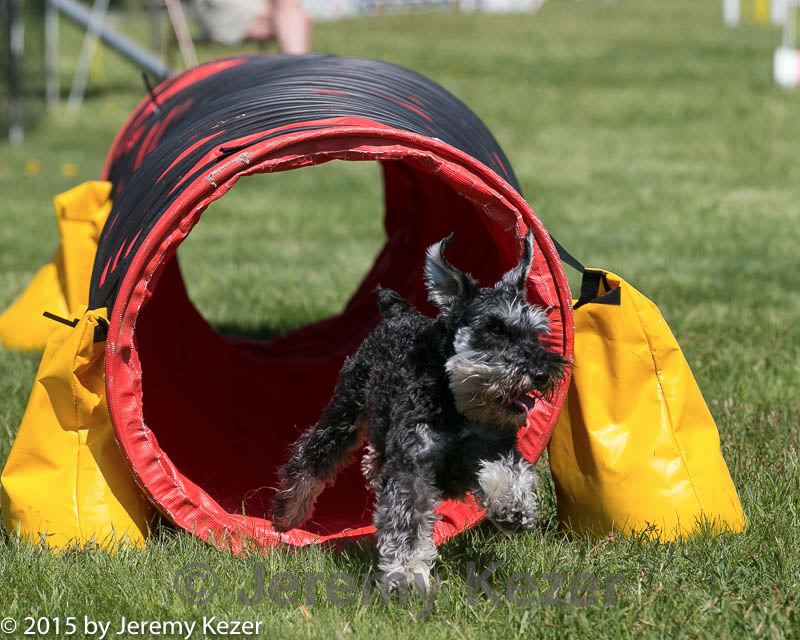 20150517-neat-0961.jpg