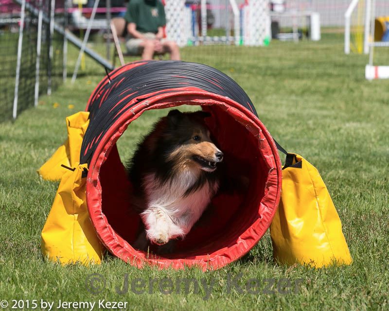 20150517-neat-0949.jpg