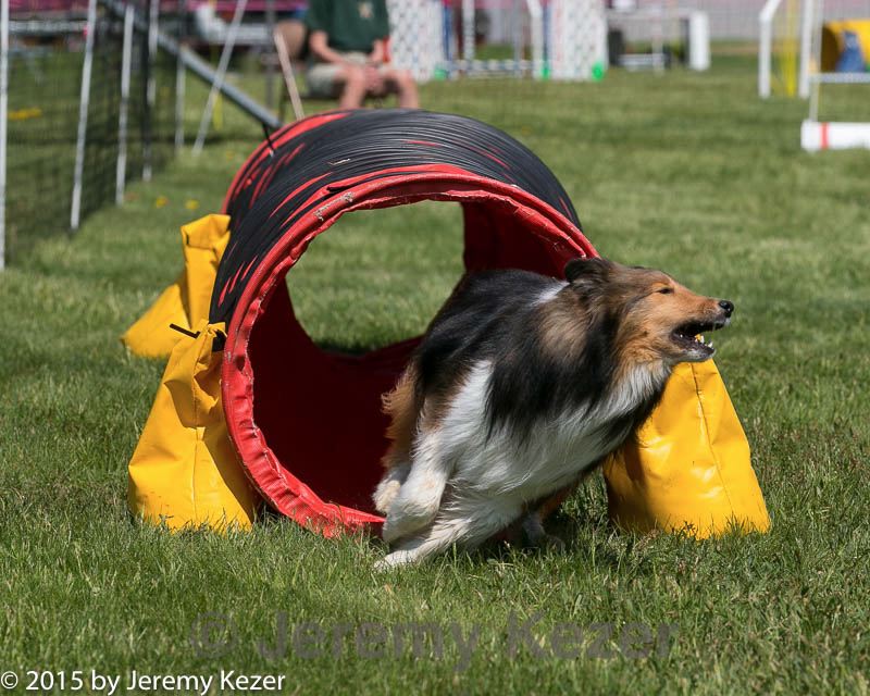 20150517-neat-0951.jpg