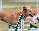 20150612-cckc-0015