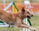 20150612-cckc-0016