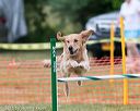20150612-cckc-0020
