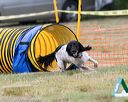 20150612-cckc-0025