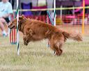 20150612-cckc-0031