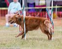 20150612-cckc-0032