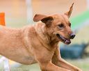 20150612-cckc-0042