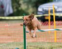 20150612-cckc-0047