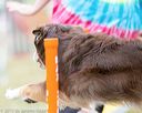 20150612-cckc-0049