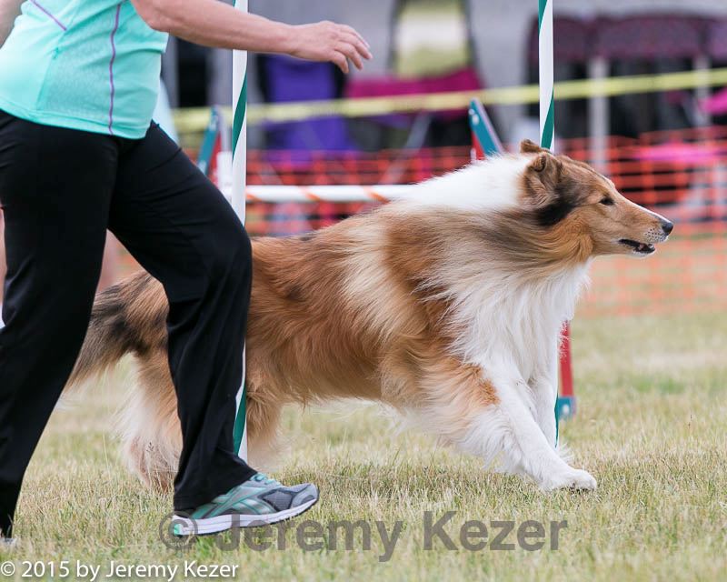 20150612-cckc-0010.jpg