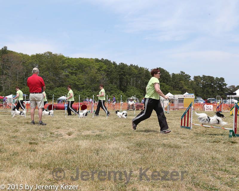 20150612-cckcmc-0056.jpg