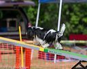 20150612-cckc-0186