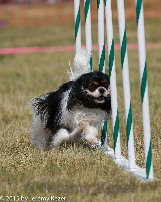 20150612-cckc-0188.jpg
