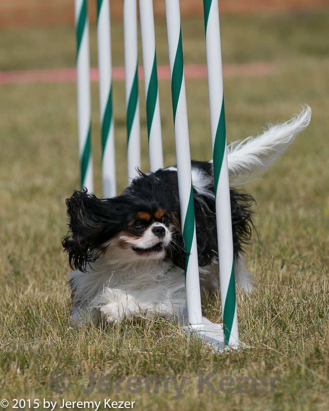 20150612-cckc-0189.jpg