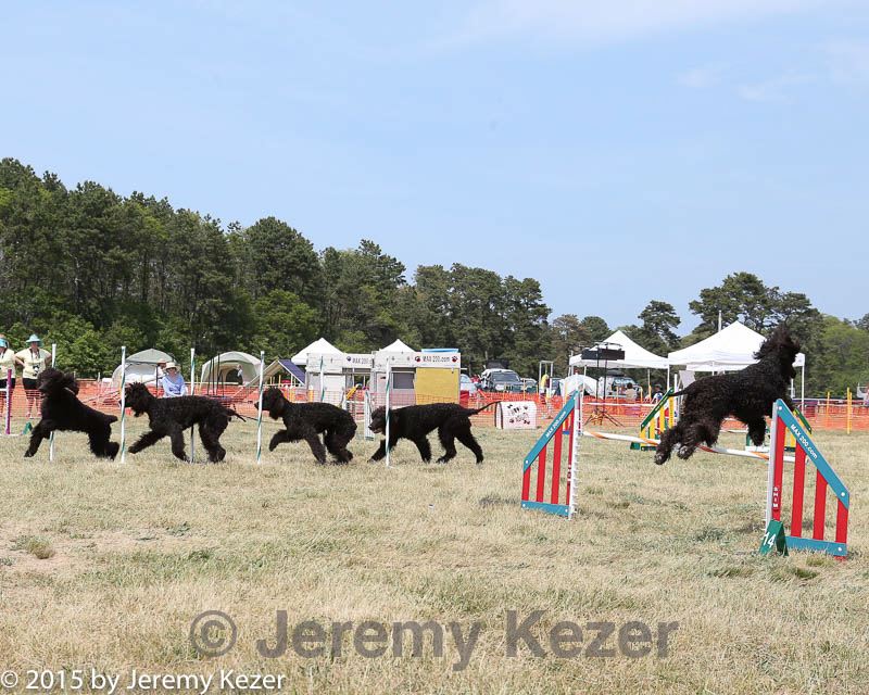 20150612-cckcmc-0117.jpg